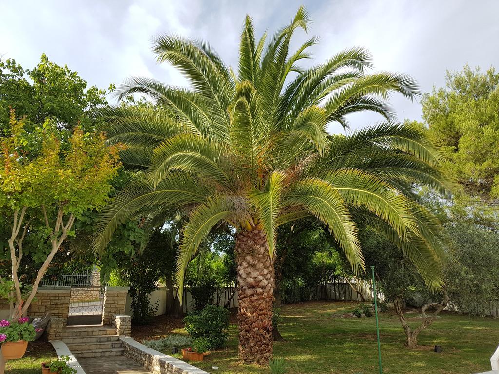 Villa Rosa With Yard And Children'S Playground Tar-Vabriga Екстер'єр фото