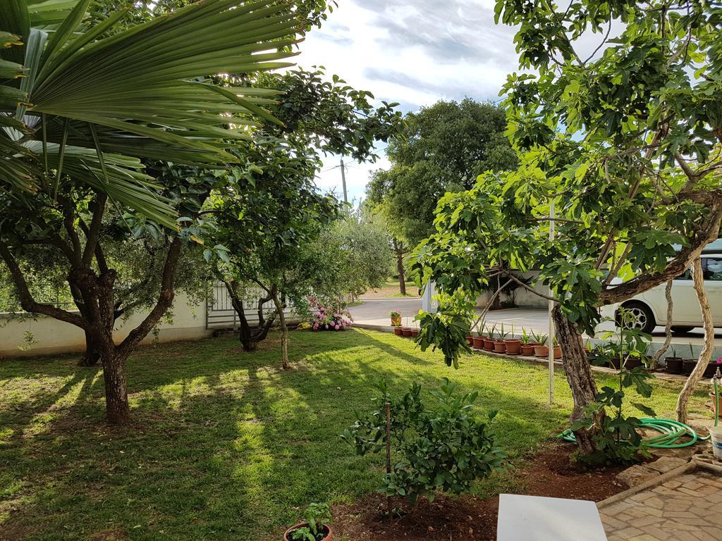 Villa Rosa With Yard And Children'S Playground Tar-Vabriga Екстер'єр фото
