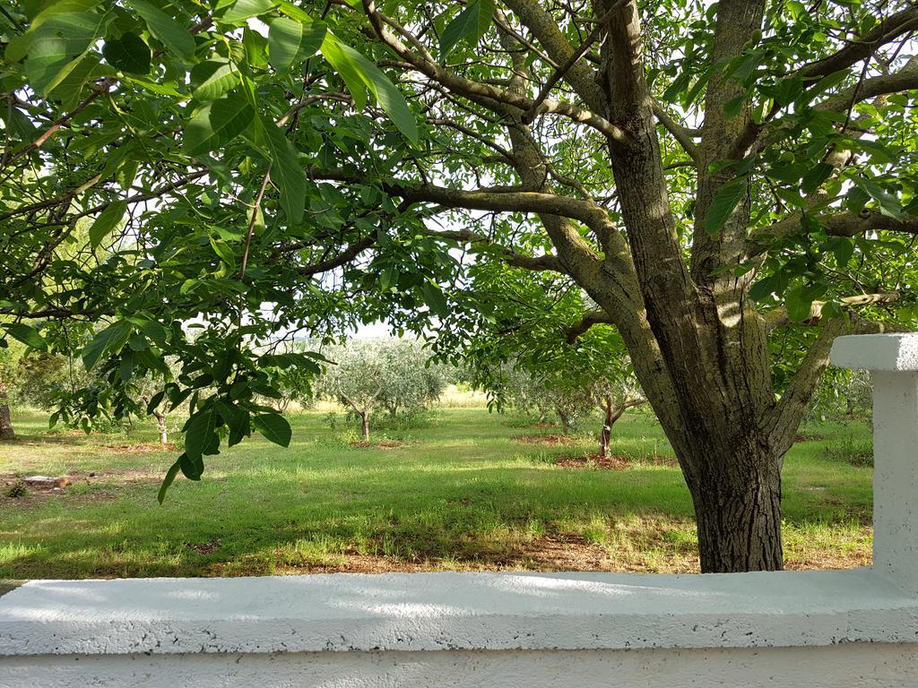 Villa Rosa With Yard And Children'S Playground Tar-Vabriga Екстер'єр фото