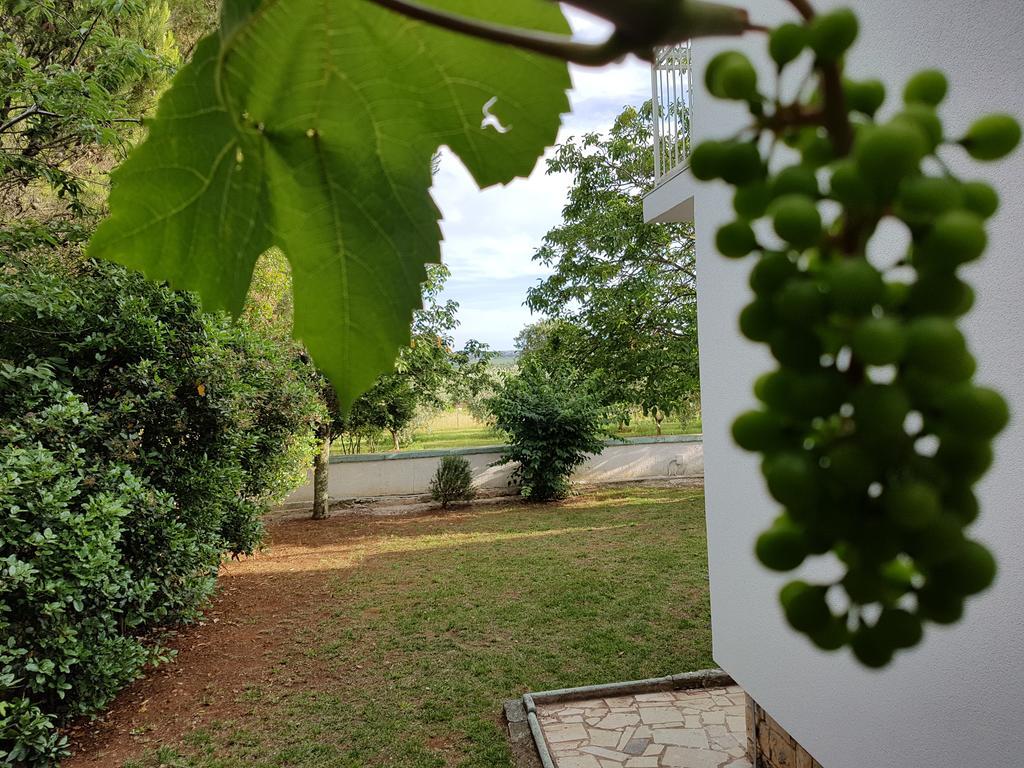 Villa Rosa With Yard And Children'S Playground Tar-Vabriga Екстер'єр фото
